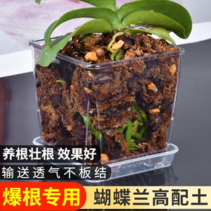 蝴蝶兰混合植料升级款颗粒植料营养土舒适透气多箭兰菌药君子兰科