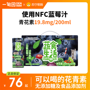一甸园100%复合果蔬汁蓝莓味补充维生素营养果汁200mL*10盒2877