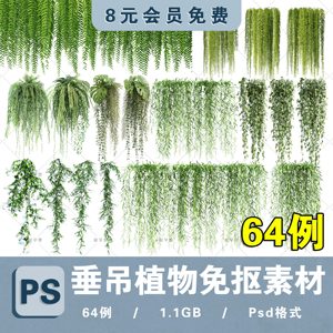 绿萝蕨类整齐垂吊长藤绿植藤蔓植物盆栽组合超高清ps分层免抠素材