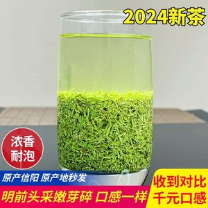 信阳毛尖高碎春茶明前头采中小断芽浓香耐泡回甘茶叶沫口粮绿茶香