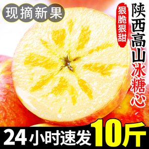 陕西高山冰糖心苹果9新鲜水果当季丑平果脆甜斤红富士整箱包邮10