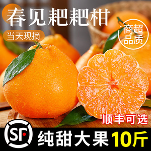 四川春见耙耙柑时令新鲜水果当季整箱正宗丑柑橘子10斤桔子粑粑柑