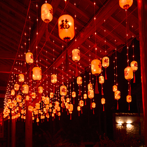 新年红灯笼福字led彩灯闪灯串灯满天星过年春节庭院装饰阳台布置