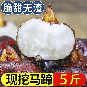 安徽无为新鲜马蹄果荸荠地梨地栗即食水果蔬菜农产品一斤包邮大果