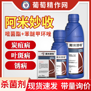 先正达阿米妙收金棠苯甲嘧菌酯葡萄水稻辣椒叶斑炭疽病农药杀菌剂