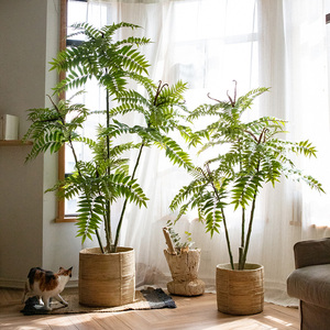 掬涵仿真香椿树植物装饰大型假绿植盆景落地室内客厅假树摆件