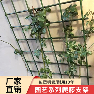 爬藤架网格花墙月季花葡萄架铁线莲包塑钢管庭院户外固定支撑支架