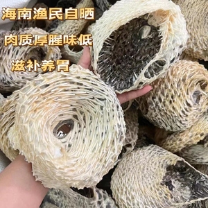 刺龟鱼皮干海南本港无刺足干干刺豚皮海刺猬皮海产干货刺鲍鱼干