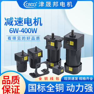 津晟邦调速电机6W-400W减速马达正反转 配调速器线包全铜厂家220V