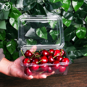 一次性透明水果包装盒带盖一斤装西瓜打包盒圣女果塑料便携果切盒
