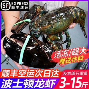 波士顿龙虾鲜活冷冻超特大10海鲜水产波斯顿澳洲大龙虾3-15斤澳龙