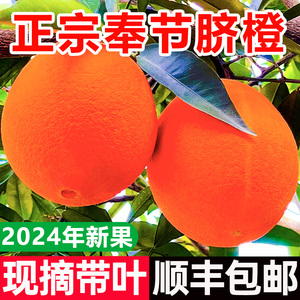 顺丰重庆奉节脐橙伦晚72-1新鲜孕水果10斤现摘20福本橙子包邮纽荷