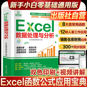 excel函数与公式应用大全 Excel数据处理与分析入门到精通 电脑办公软件教程书电子表格制作wordexcel ppt wps office应用视频书籍