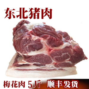 东北农家散养一年土猪笨猪肉梅花肉5斤现杀生猪肉新鲜顺丰发货