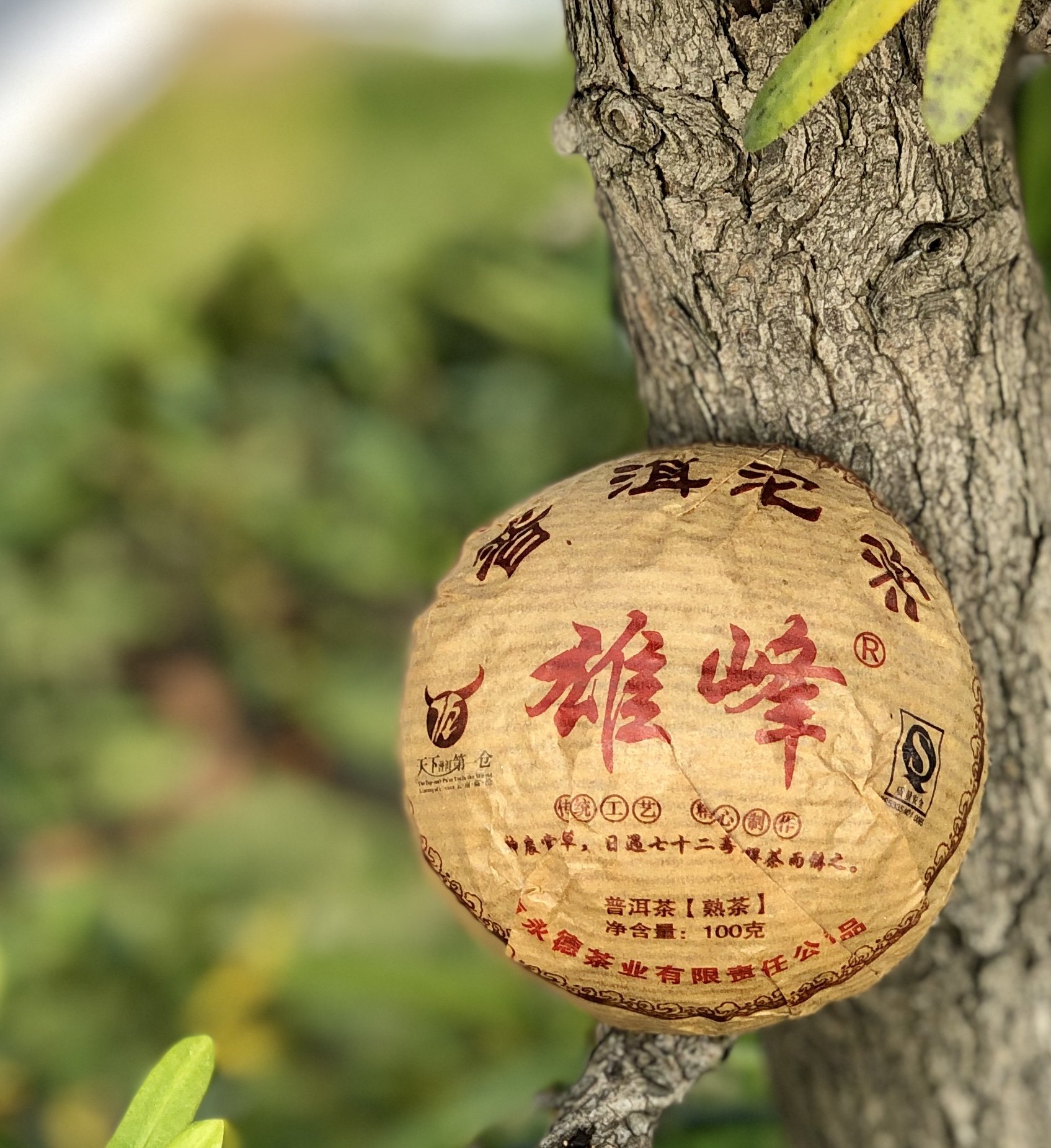 公式 桜井 製図用フィルム Ｚトレースター Ｚ−３００．S ７５μｍ Ａ１