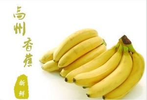 新鲜香蕉 banana5斤水果特产无催熟剂现摘米蕉粉海南芭蕉帝王米