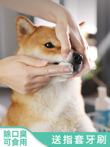 宠物牙刷牙膏套装可食用除口臭刷牙神器猫咪狗狗清洁牙齿泰迪金毛