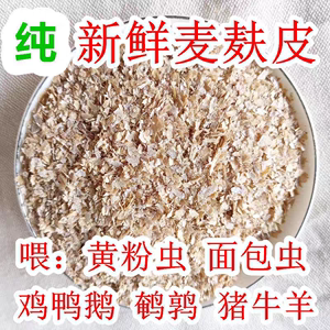 麦麸皮小麦麸子饲料粗细热敷喂鸡鸭鹅猪牛兔面包虫大麦虫钓鱼打窝