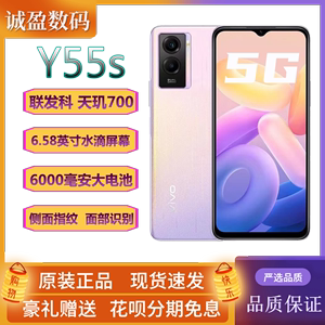 vivo Y55S 双模5G 天玑700新款6.58英寸屏幕6000超大电池智能手机