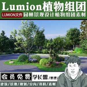 lumion10/11/12/8/9组团植物绿植乔灌木花卉花丛花镜植物扩展素材