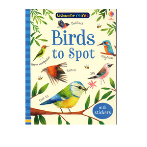 英文原版 Usborne Mini Books Birds to Spot 鸟类主题活动书 附贴纸 幼儿启蒙认知读物 宝宝益智游戏书