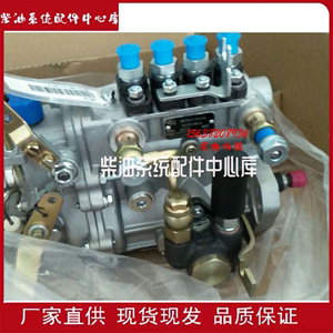 山东康达油泵BH4QT85R9一汽解放大柴498发动机高压油泵总成4QT25