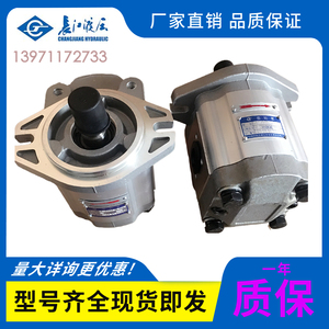 四川长江液压齿轮泵CBK1016-A2FR/L液压泵CBK1016-A1FR/L高压油泵