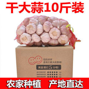 【坏果包赔】10斤干大蒜头干蒜头河南紫白皮大蒜2020新