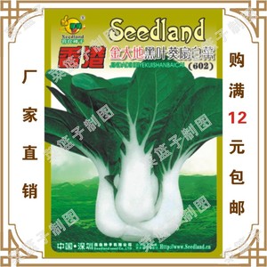 香港金大地黑叶葵扇（602） 四季蔬菜种子种植白菜种子购满包邮