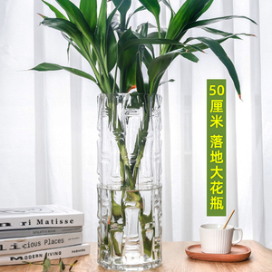 富贵竹专用花瓶玻璃摆件客厅插花透明马醉木水养水培竹子高级感大