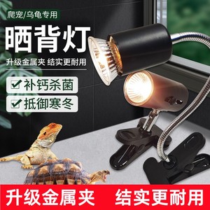 乌龟晒背灯爬宠恒温加热灯宠物专用补钙龟缸灯架全光谱太阳保温灯