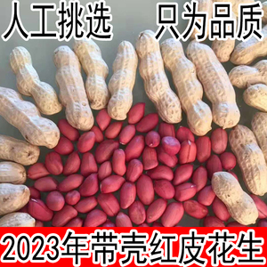 红皮生花生带壳晒干山东农家红衣花生米小粒新鲜2023红皮花生种子