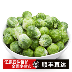 新鲜孢子甘蓝小包菜迷你包菜Brussels Sprout胞子轻食沙拉菜食材