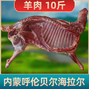 羊肉新鲜半只羊10斤羊腿肉羊排肉生肉羊蝎子肉内蒙古呼伦贝尔散养