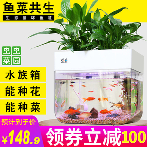 懒人鱼缸自循环免换水生态金鱼缸水族箱鱼菜共生系统客厅小型家用