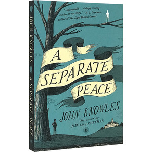独自和解 英文原版青春小说 A Separate Peace 一个人的和平 全英文版进口英语书籍 另一种和平 电影原著 媲美麦田里的守望者