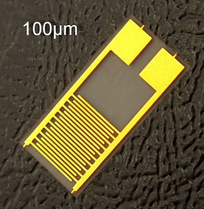 100um柔性叉指电极电容阵列科研实验智能穿戴传感器芯片PET