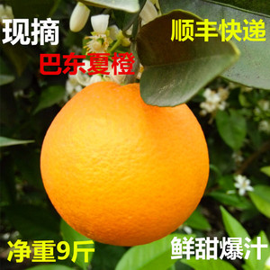 清江边巴东夏橙现摘现发榨汁橙子酸甜孕妇新鲜水果湖北恩施土特产