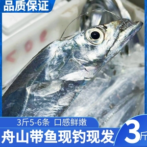 舟山带鱼小眼睛带鱼新鲜国产带鱼新鲜冷冻大刀鱼 鲜带鱼3斤5-6条