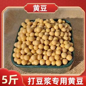 东北农家自种黄豆打豆浆专用生豆芽做豆腐非转基因孕妇大豆商用
