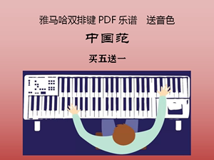 中国范 雅马哈双排键PDF乐谱  送音色