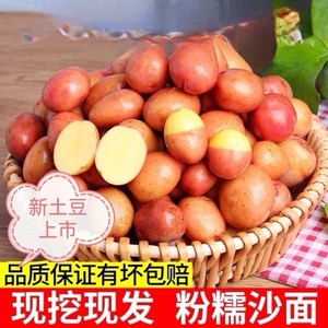 云南红皮黄心农家自种迷你小土豆5/9斤高山云南红皮小土豆精选