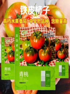 青桃草莓番茄种子口感酸甜可口高产抗病强春秋季精品高档水果番茄