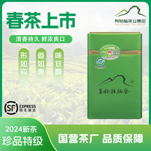 2024新茶正品江西遂川狗牯脑茶叶珍品绿茶明前头采高山春茶100g