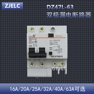 珠江电气DZ47L-63 双极漏电开关63A空漏家用保护断路器2P 25A/32A