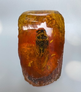 人工琥珀蜜蜡原石真昆虫标本摆件螃蟹知了蝎子蝴蝶 学生创意礼物