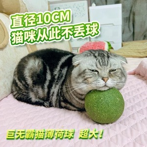 猫玩具猫薄荷球超大猫猫磨牙小猫逗猫棒宠物猫咪用品自嗨解闷神器