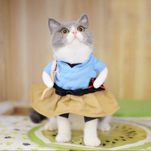 抖音同款猫咪衣服浦岛太郎喵咪搞笑装搞怪装猫咪衣服猫咪直立装