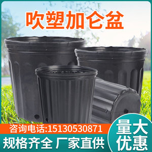 结实加仑盆1 2 35加仑吹塑盆绿植黑色加仑盆塑料简约加厚营养钵