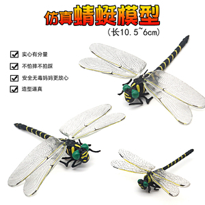 仿真大号蜻蜓模型玩具昆虫标本蜜蜂甲塑虫胶蝴蝶儿童认知科教育